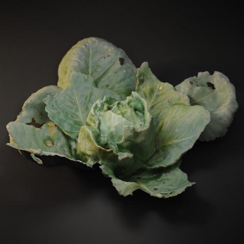 Cabbage Scan preview image